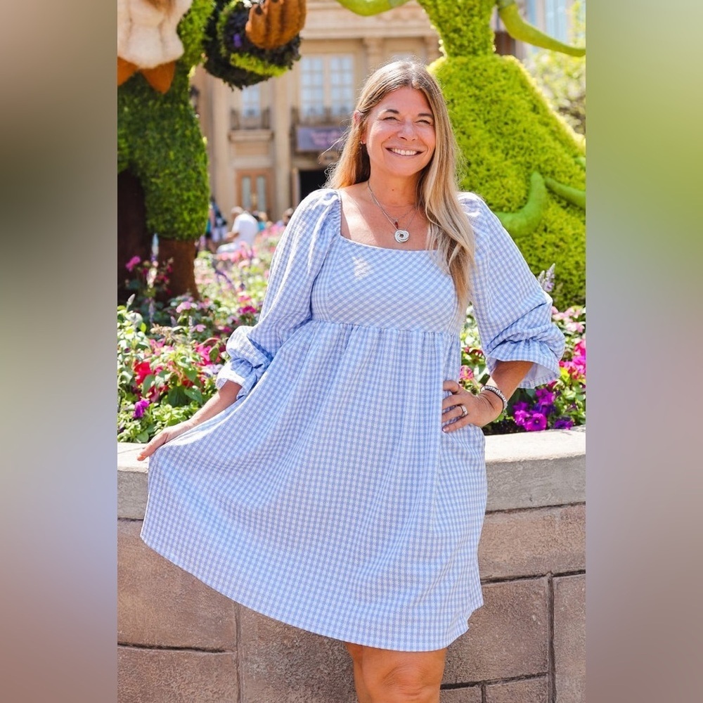 Sugar Fox Garden Picnic Gingham Dress.  size 3X